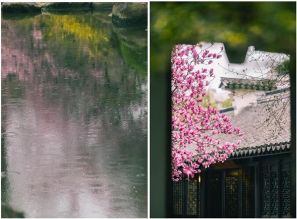 不负好春光，文旅百城寻春影像大PK