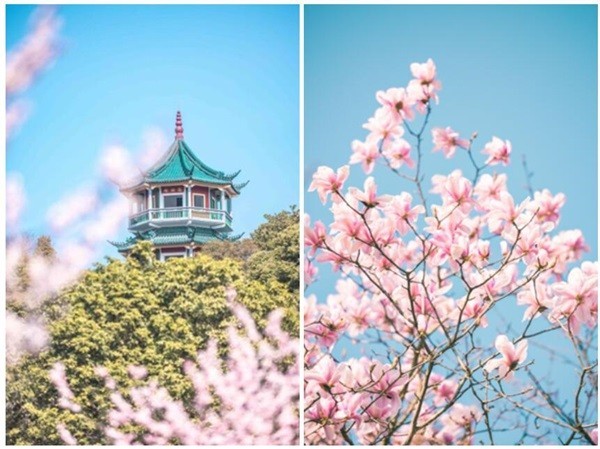 不负好春光，文旅百城寻春影像大PK