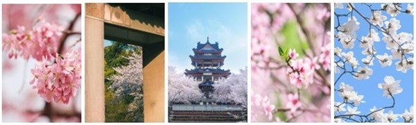 不负好春光，文旅百城寻春影像大PK