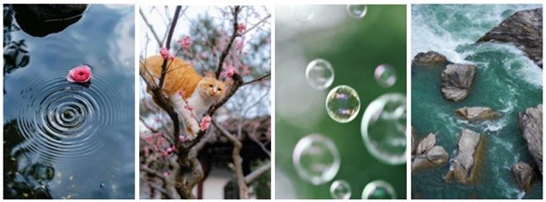 不负好春光，文旅百城寻春影像大PK