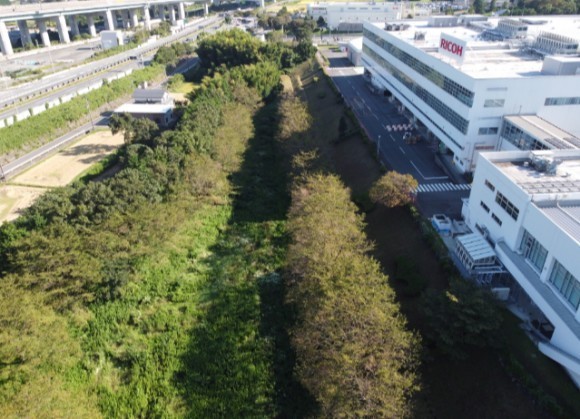 荣誉满载，再启新篇——理光领航ESG未来之旅