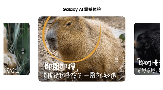 618嘉年华!三星Galaxy Tab S9系列引领大屏AI新时代