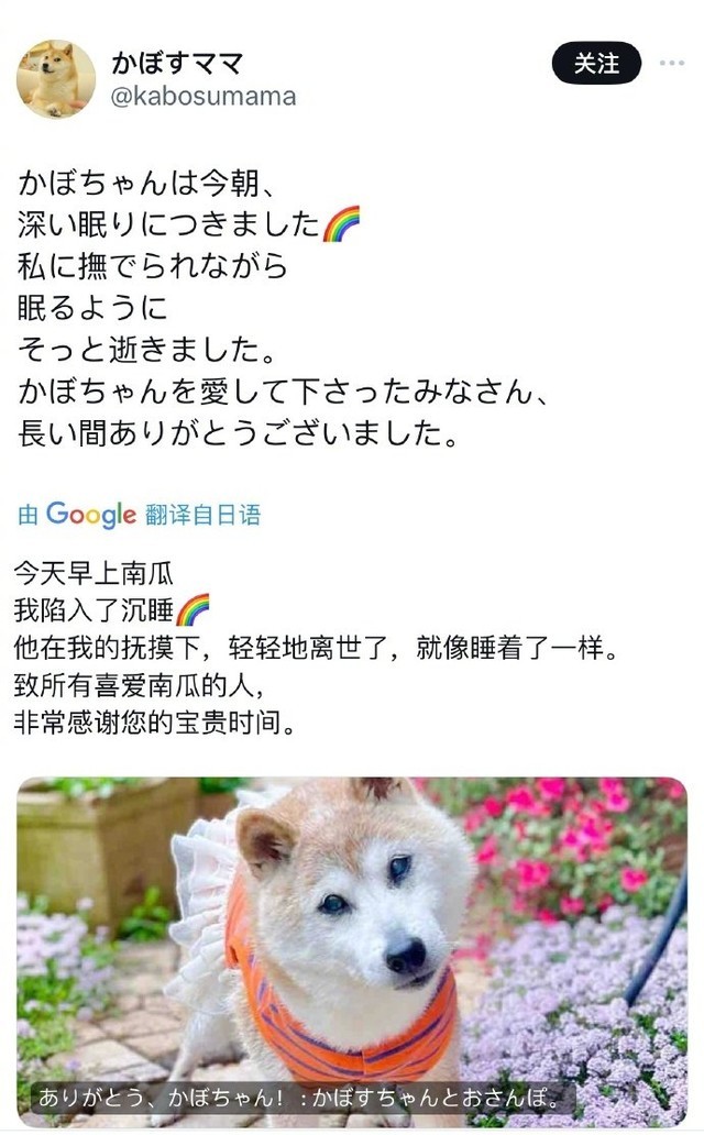科技早报：iPad mini将搭载OLED面板｜ICQ即将停止服务｜iPhone14官翻机上架