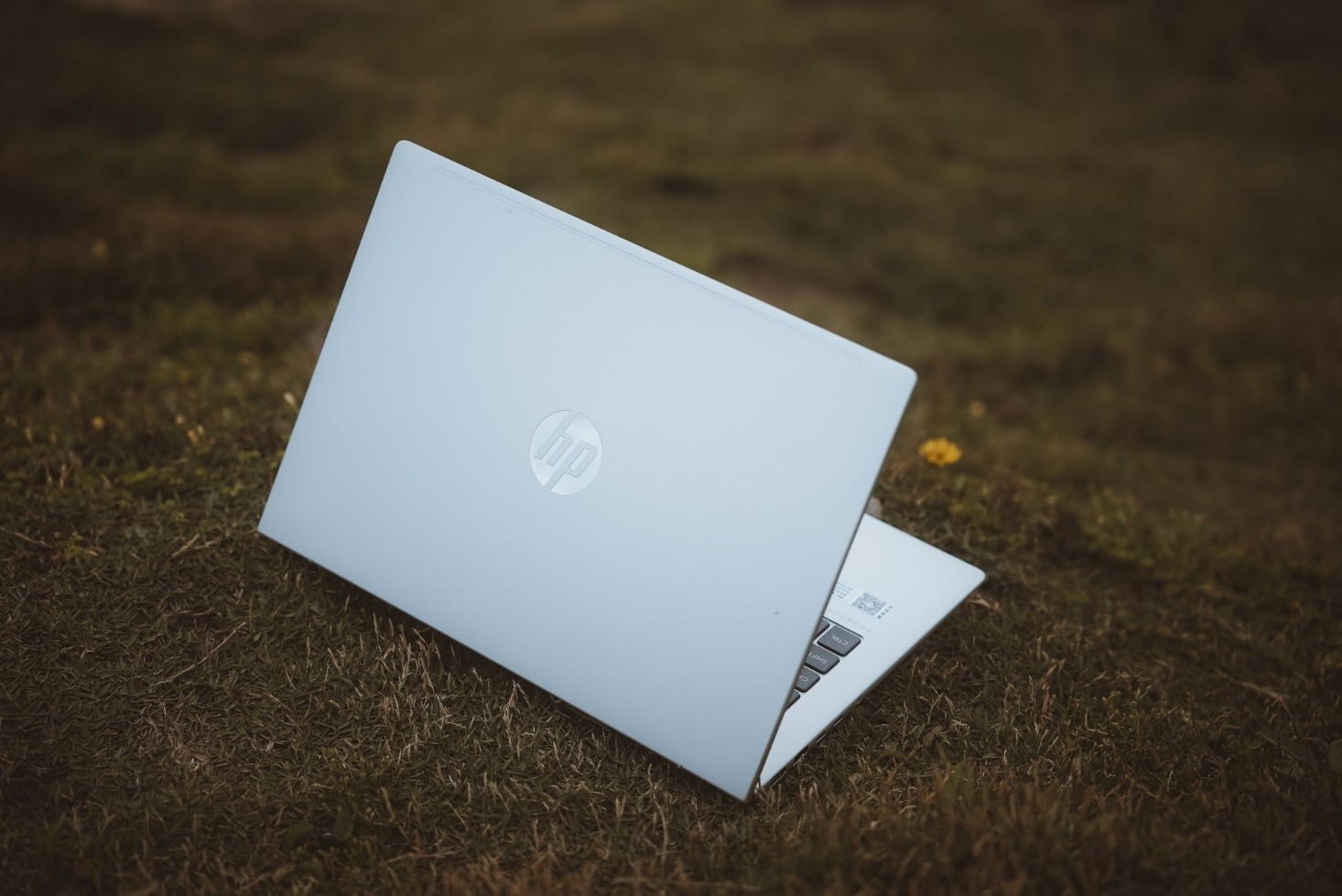 漂洋过海 与惠普战66七代共赴“人间塞尔达”