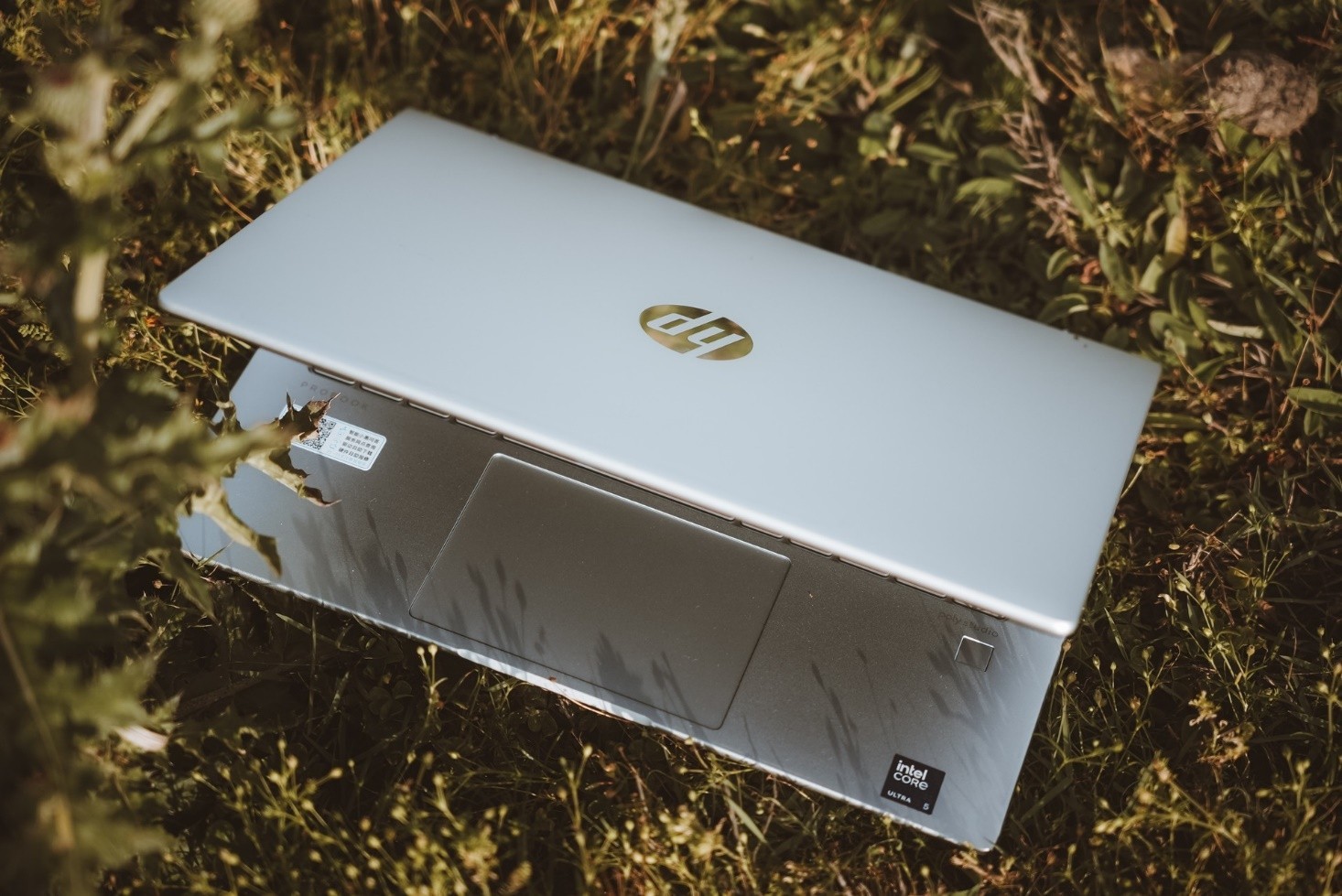 漂洋过海 与惠普战66七代共赴“人间塞尔达”