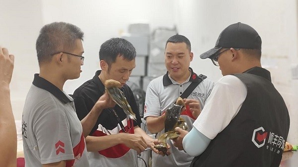 各地骑士如何过端午？顺丰同城多元关怀举措与广大骑士共赴佳节